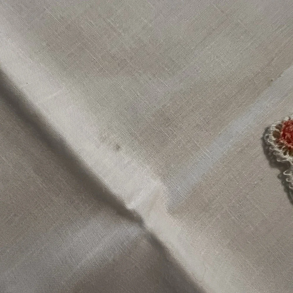 Vintage Hand Painted And Crochet Edged Pillowcases Floral Design White Set Of 2